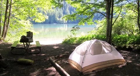 Camping Resorts in Washington State with Wildlife
