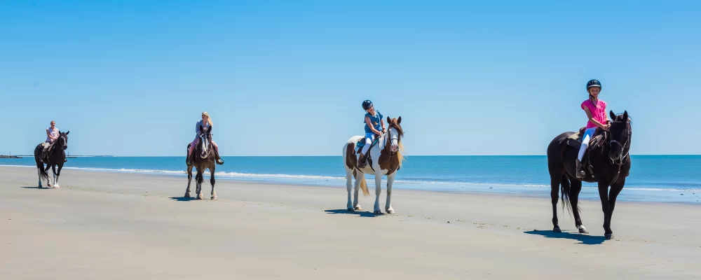 Camping Resorts with Horse Riding Activities