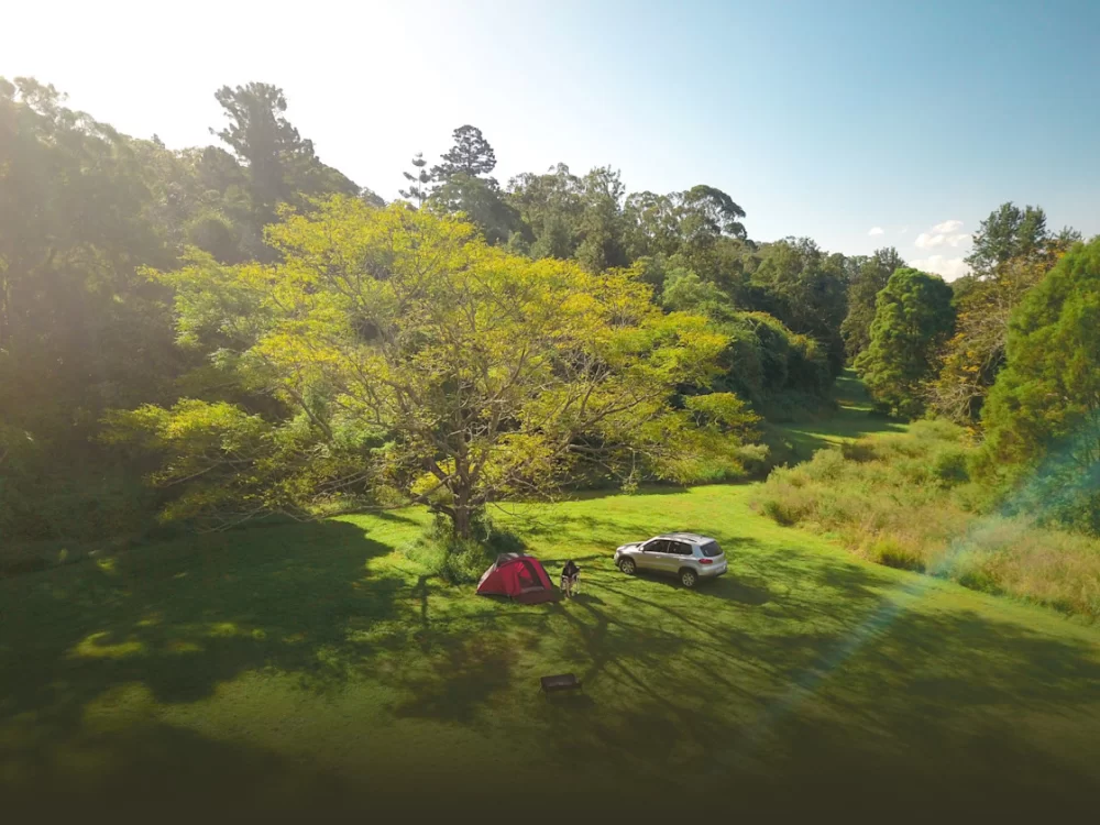 The Best Campsites for a Relaxing Escape in Nature