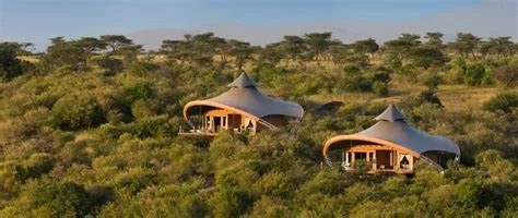 Discover Top Camping Resorts with Guided Nature Tours for an Unforgettable Outdoor Experience