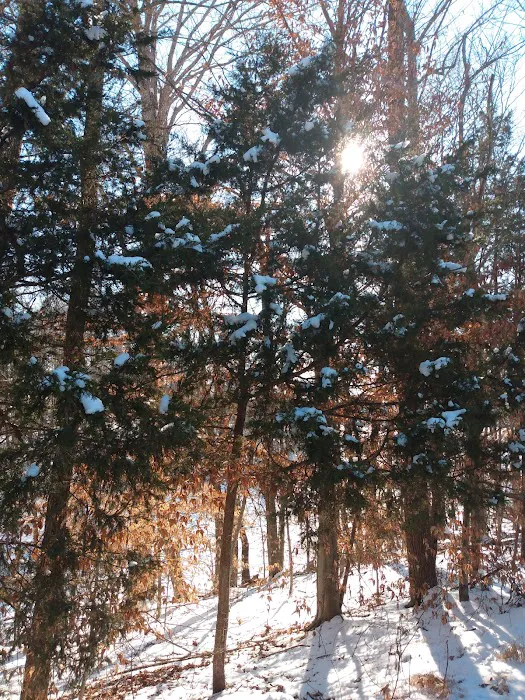 US Campgrounds 9