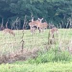 Campfire Ridge RV Park