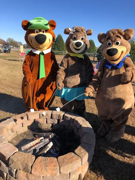 Yogi Bear's Jellystone Park at Daddy Joe's 5