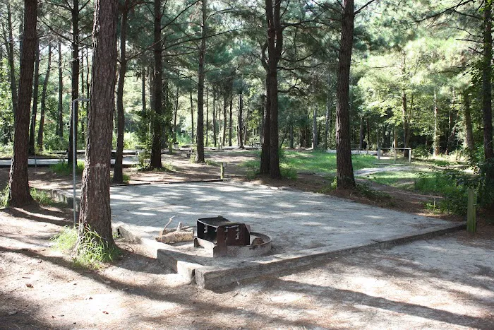 Yogi Bear's Jellystone Park at Daddy Joe's 7