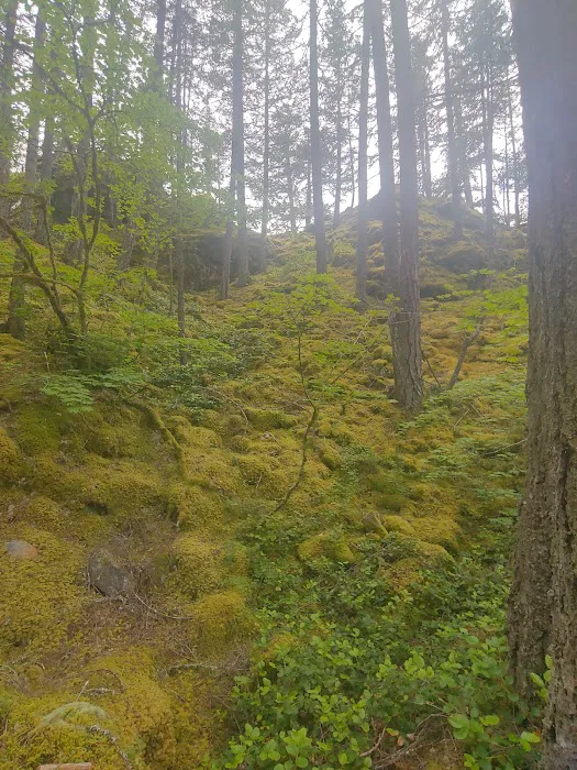 Hidden Cove Campground 2