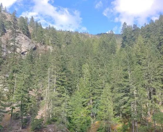 Hidden Cove Campground