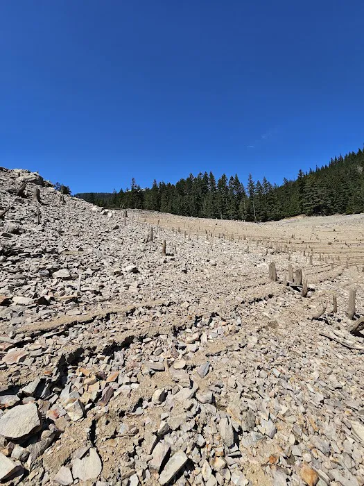 Green Point Campground 4