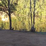 Country Cabins Motel & Rv