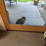 My Tiny Creekside Retreat