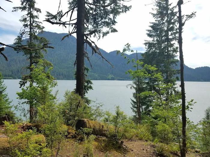 Shannon Creek Campground 6