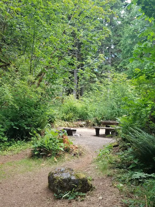 Shannon Creek Campground 7