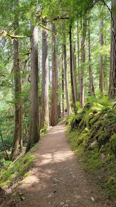 Colonial Creek South Campground 2
