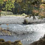 Lewis Meadow Campsite