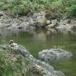 Sooke Potholes Campground