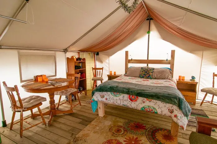 So Damn Lucky Glamping 3
