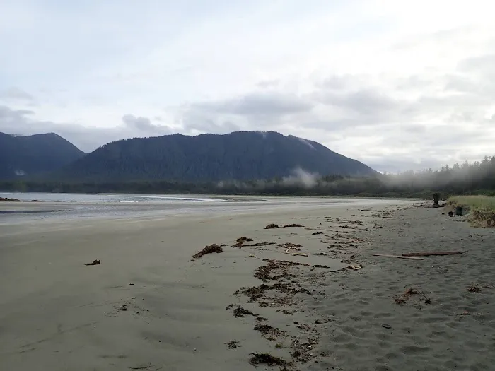Cow Bay Campsite 9