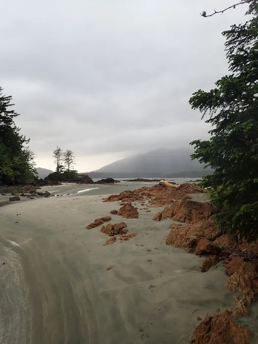 Cow Bay Campsite 8