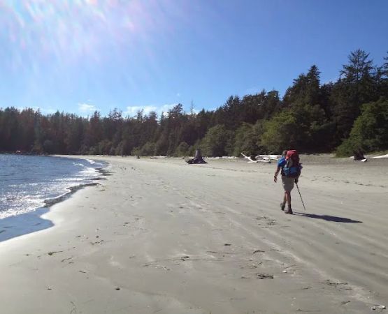 Cow Bay Campsite