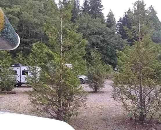 Yurts at Wya Point Resort