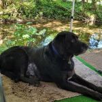 Nanoose Creek Campground