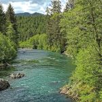 South Fork Hoh Campground