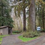 Cottonwood Campground