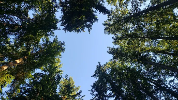 Wenberg County Park 7