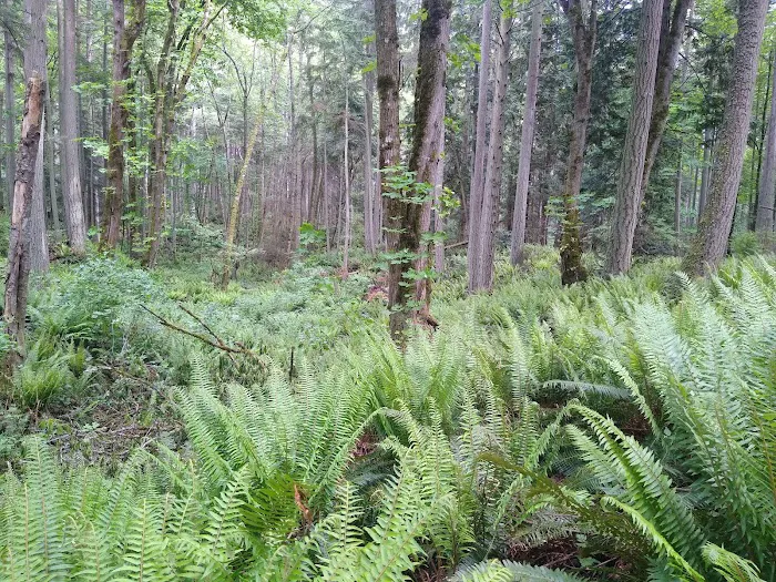 Camano Island State Park 6