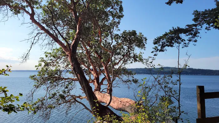 Camano Island State Park 1