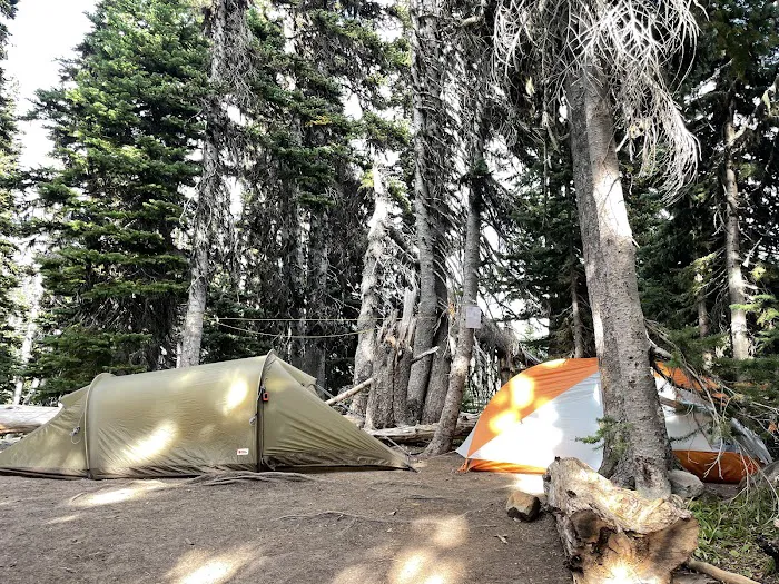 Sunrise Walk-In Camp 8