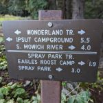 Mowich Lake Campground