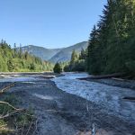 Silver Springs Campground