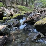 Ohanapecosh Campground