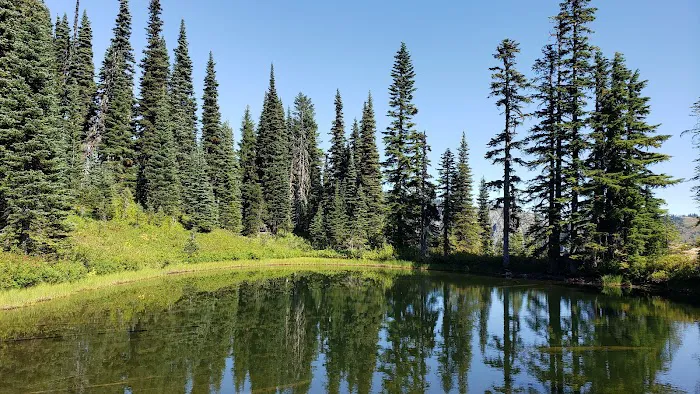 Big Creek Campground 1