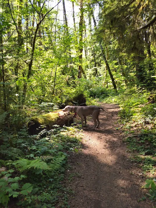 Big Creek Campground 7