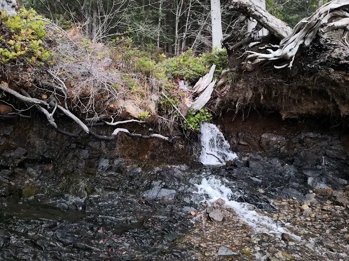 Hood Canal Ranger District - Quilcene Office 2