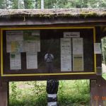 Falls View Campground