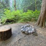 Bark Shanty Campsite