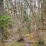 Horseshoe Bend Group Campsite