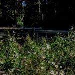 Stoltz Pool Campground and Group Site