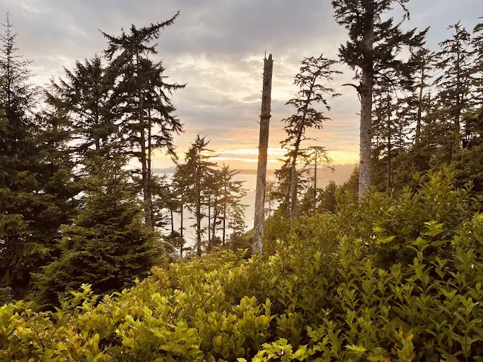 Green Point Campground 5