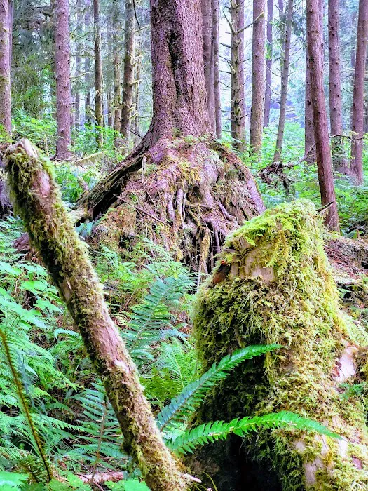 Green Point Campground 7