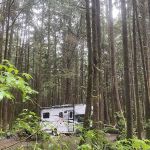 Green Point Campground