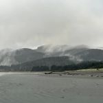 Hobuck Beach Resort - South Cabins