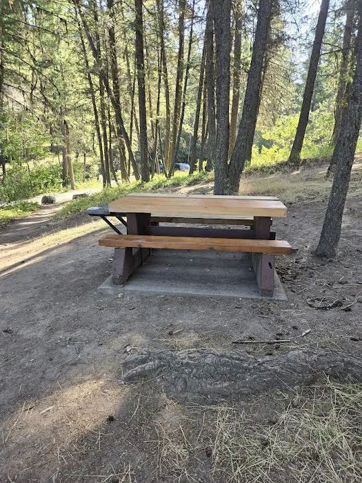 Surveyors Lake Camping 3