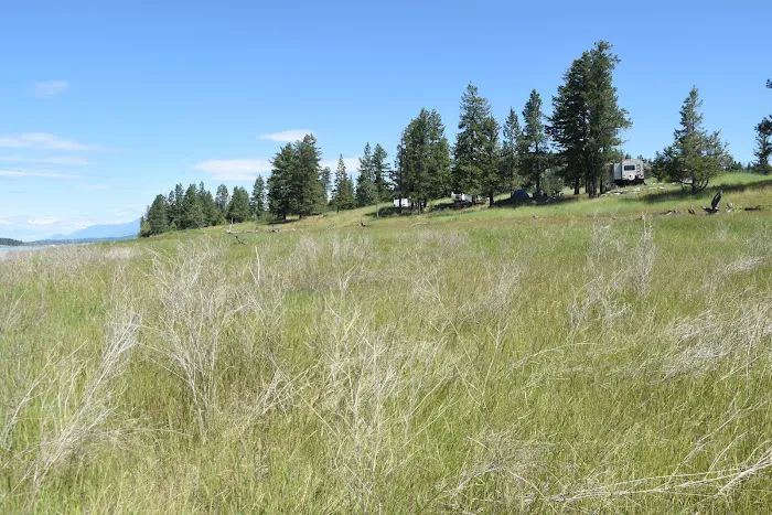 Ponderosa Campground 6