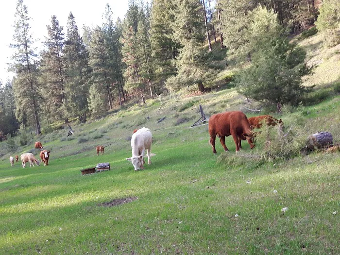 Aye's Ranch Campground 8