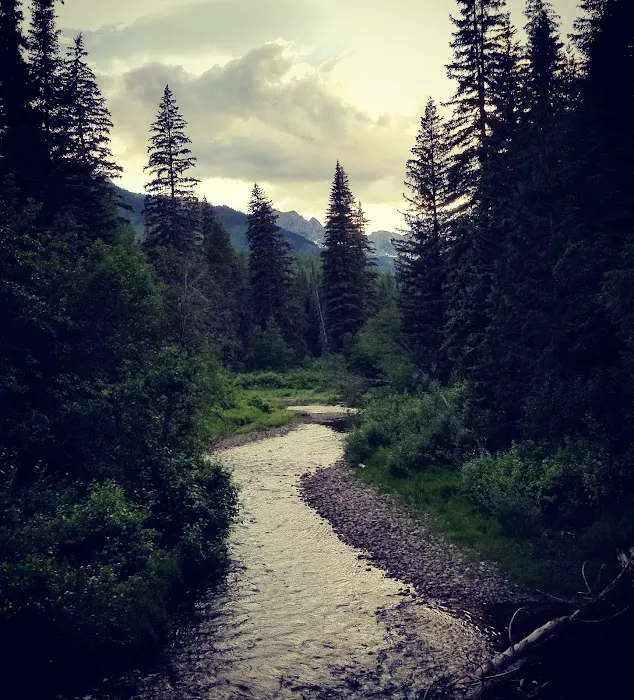 Mount Fernie Provincial Campground 1