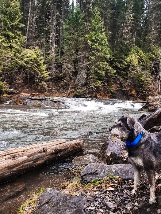 Mount Fernie Provincial Campground 0
