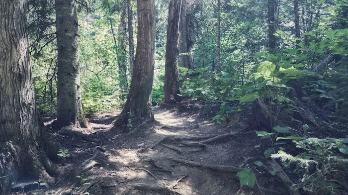 Mount Fernie Provincial Campground 6